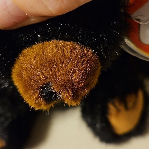 Attic treasure beanie baby, with tag 3rd edition. Ivan Black bear - Picture 8 of 8